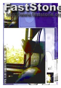 Flexispy Remove Skyware Flipphone